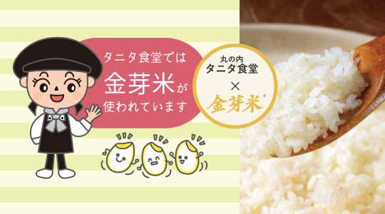タニタ食堂の金芽米