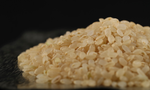 金芽ロウカット玄米