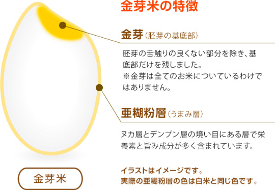 金芽米とは 玄米の栄養素を残した美味しいお米 さらに糖質 カロリーオフ