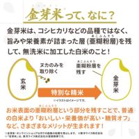 お米の炭水化物が心配なら…白ご飯より100g当たり約12％オフの金