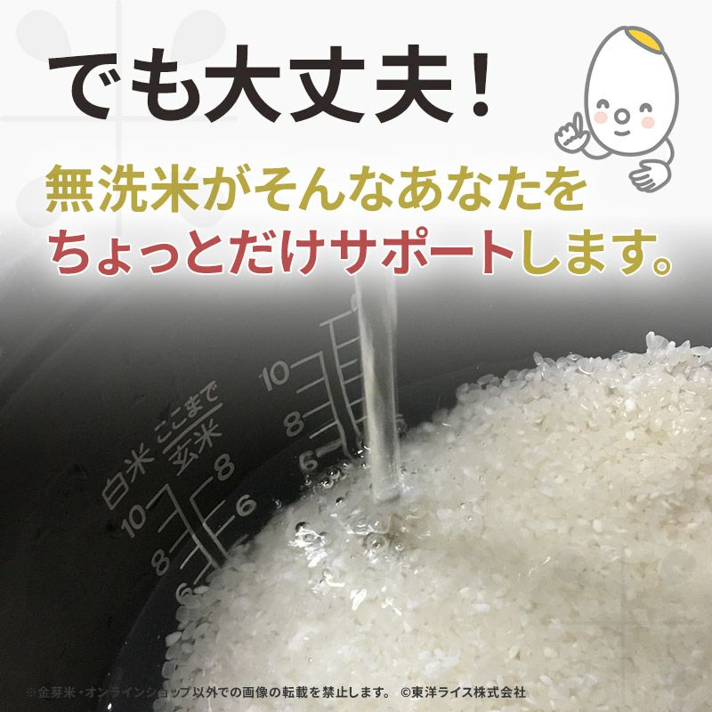 金芽米　10kg 無洗米　オリジナルブレンド米　ベストセレクト　東洋ライス 金芽米 ベストセレクト 10kg 5kg×2 【 BG無洗米 無洗米 東洋