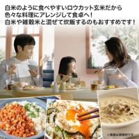 □定期お届け便□ 金芽ロウカット玄米 4kg（2kg×2袋） 【送料無料