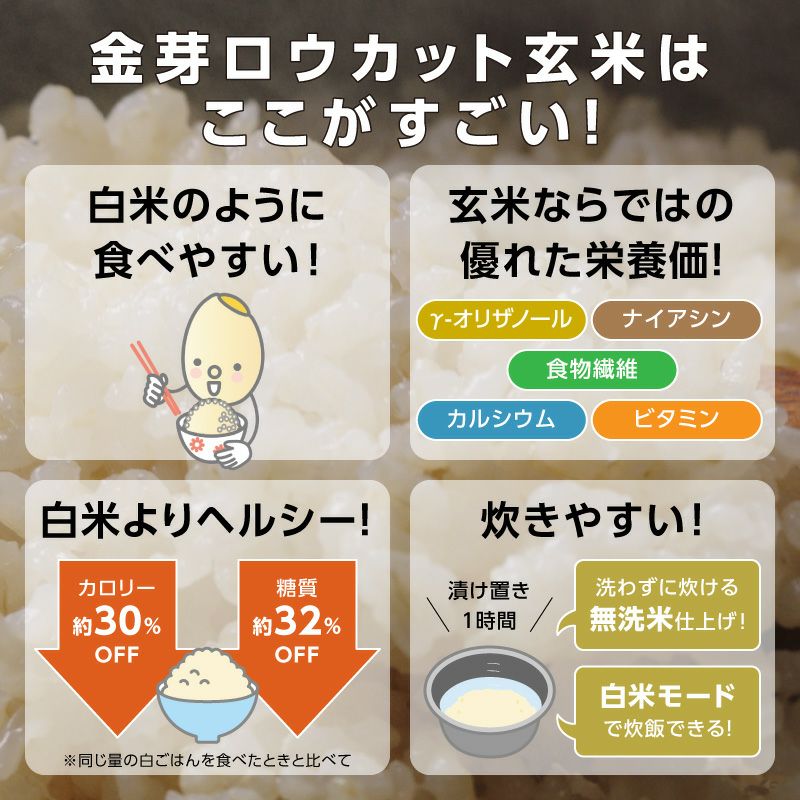 62%OFF!】 金芽ロウカット玄米 無洗米 長野県産コシヒカリ 4kg 2kg 2 白米感覚で食べる玄米 notimundo.com.ec